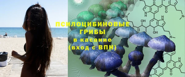 прущая мука Новозыбков