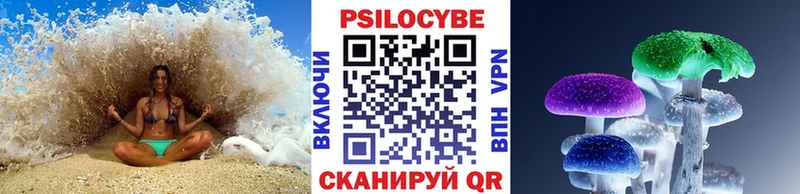 Купить где  Хасавюрт  Галлюциногенные грибы MAGIC MUSHROOMS 